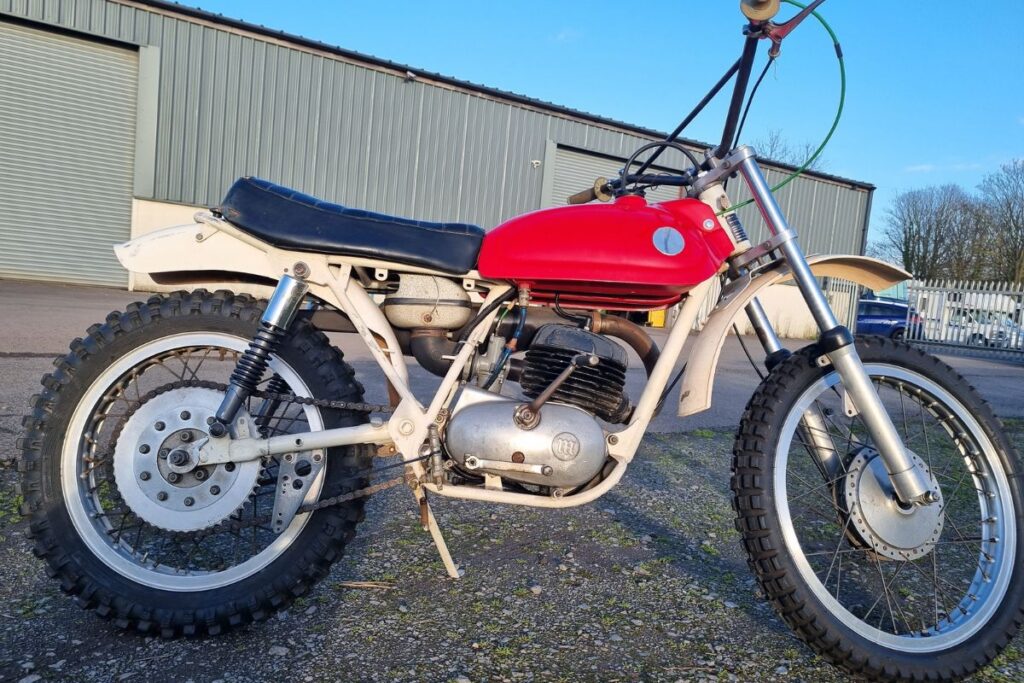 Montesa king scorpion